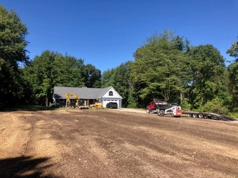 Fencerow Clearing